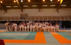 Près de 80 personnes pour faire du judo en famille